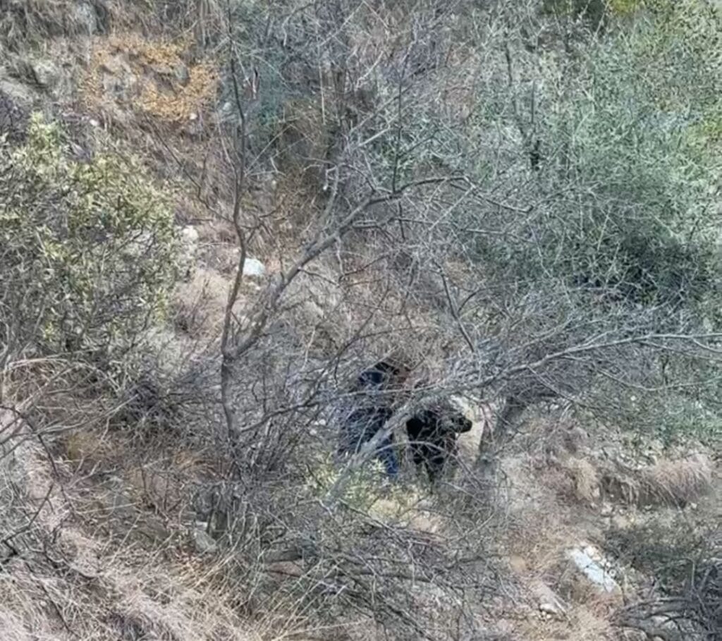 DODA POLICE RESCUED A MAN FROM COMMITTING SUICIDE AT KHELLANI DODA